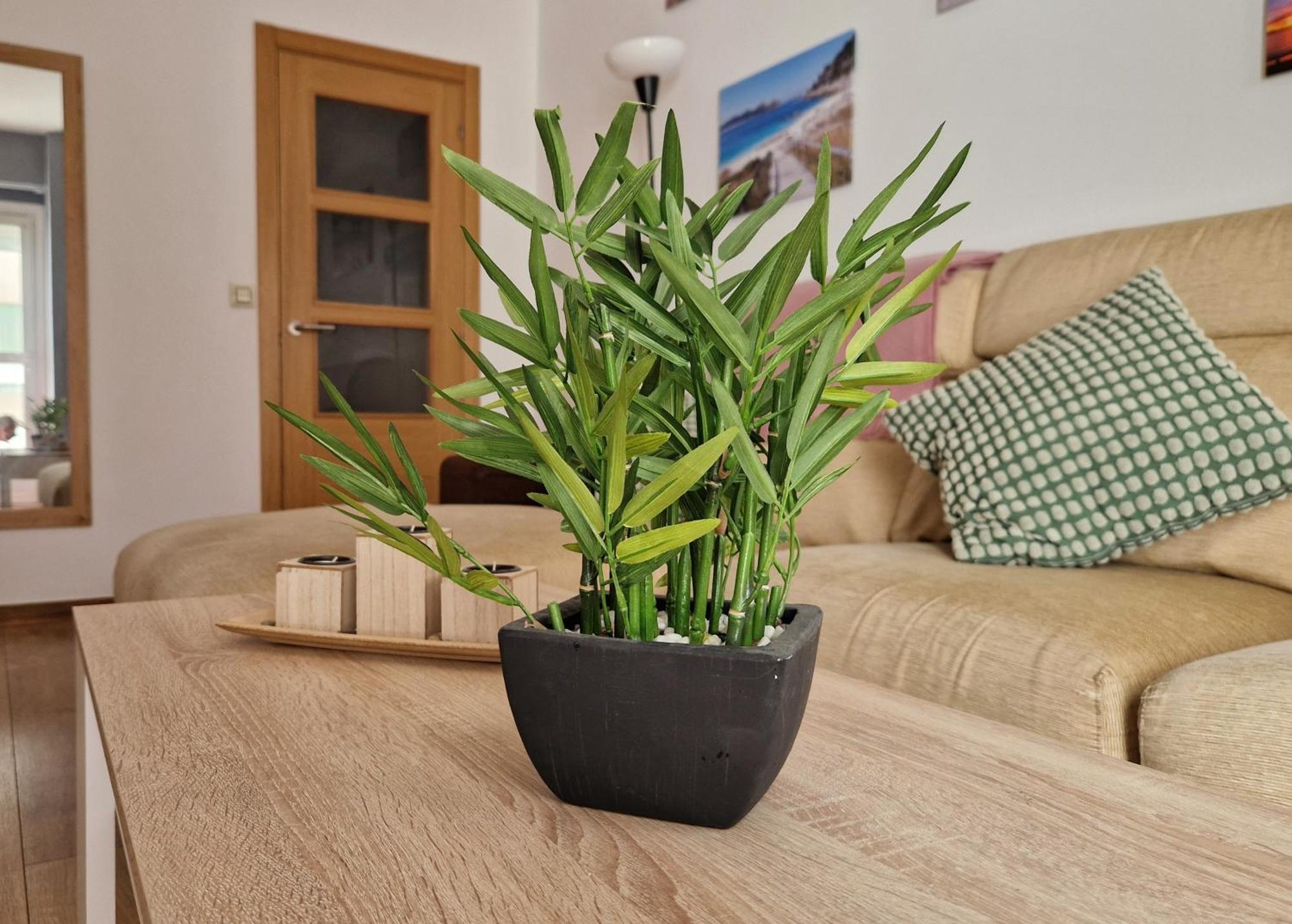 Apartamento Playa Bouzas - Vigo - Parking Free 외부 사진